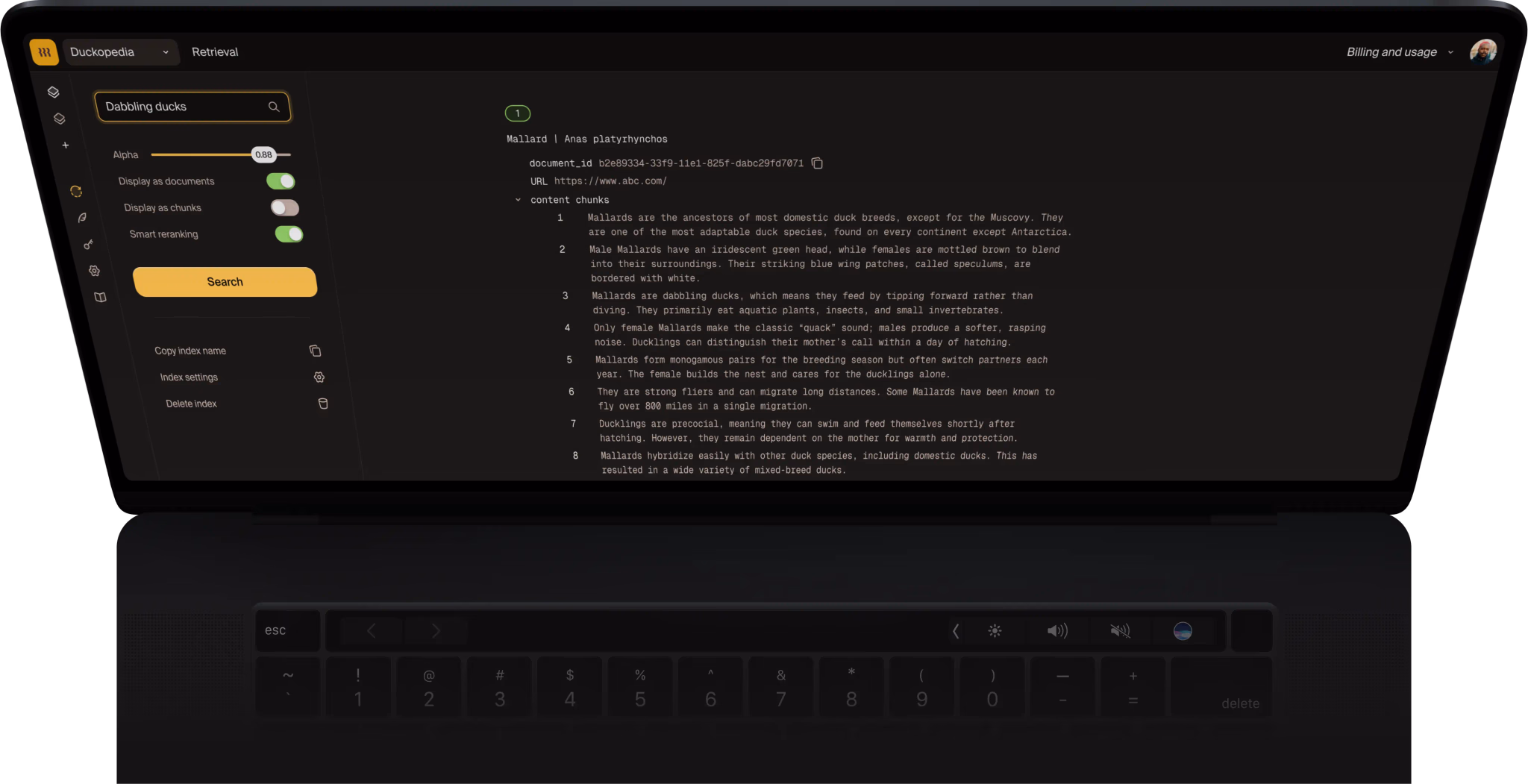 Ducky AI search and retrieval dashboard showing real-time query results, semantic search management, and RAG integration.